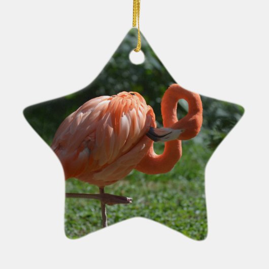 Perfekter rosa Flamingo Keramikornament (Hinten)