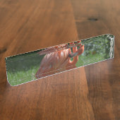 Perfekter rosa Flamingo Namensplakette (Seite)