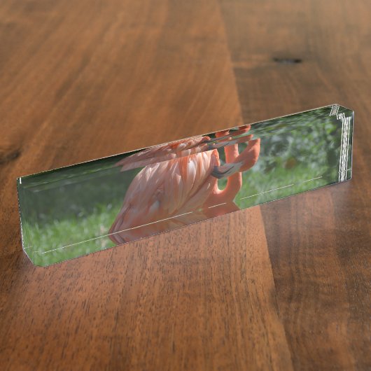 Perfekter rosa Flamingo Namensplakette (Seite)