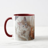Perfekter Tag Katzenfoto  Tasse (Links)