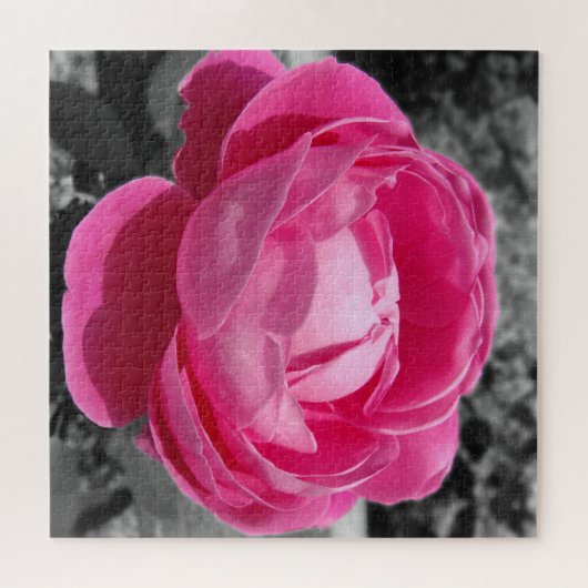 Perfektes Erbe Rosa Rose mit Grau Puzzle (Horizontal)