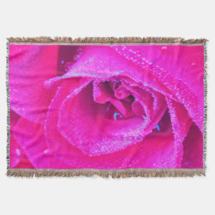 Perfektes Karmesinrot und Hellblaue Rosendetail Decke