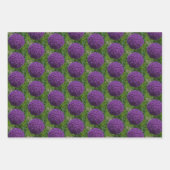 Perfektes Lila Angebot der Allium Blume Motivieren Geschenkpapier Set (Vorderseite 3)