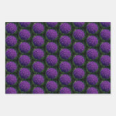 Perfektes Lila Angebot der Allium Blume Motivieren Geschenkpapier Set (Vorderseite 2)