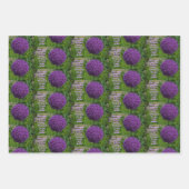 Perfektes Lila Angebot der Allium Blume Motivieren Geschenkpapier Set (Vorderseite)