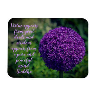 Perfektes Lila Angebot der Allium Blume Motivieren Magnet