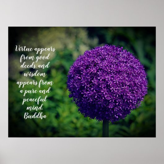 Perfektes Lila Angebot der Allium Blume Motivieren Poster (Vorne)