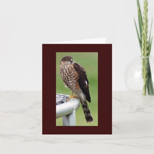 Perfektes Profil Karte (Vorderseite)