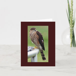 Perfektes Profil Karte