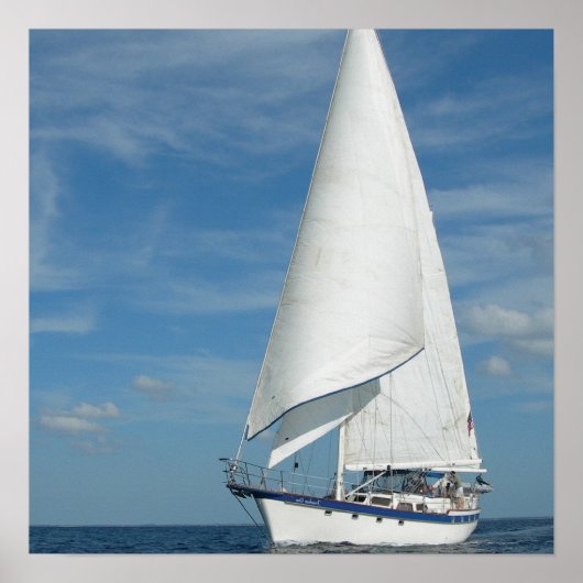 Perfektes Sail Poster (Vorne)