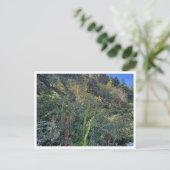 Perfektes Wetter Postkarte (Stehend Vorderseite)