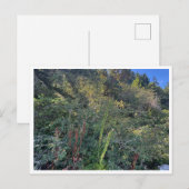 Perfektes Wetter Postkarte (Vorne/Hinten)