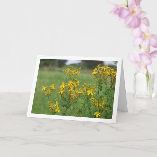 Perforate Johanniskraut Blühende Pflanze Karte (Orchidee)