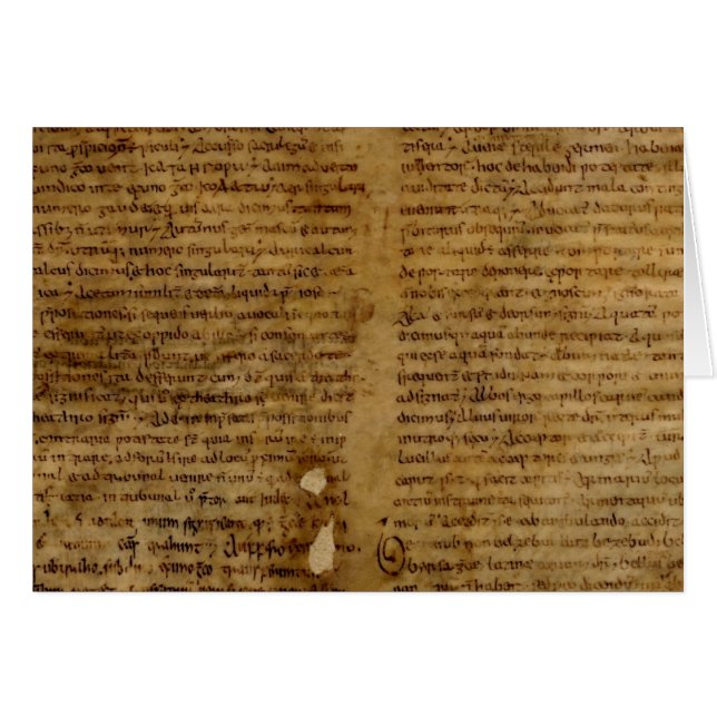 Pergamenttext mit antikem Schreiben, altes Papier (Vorderseite (Horizontal))