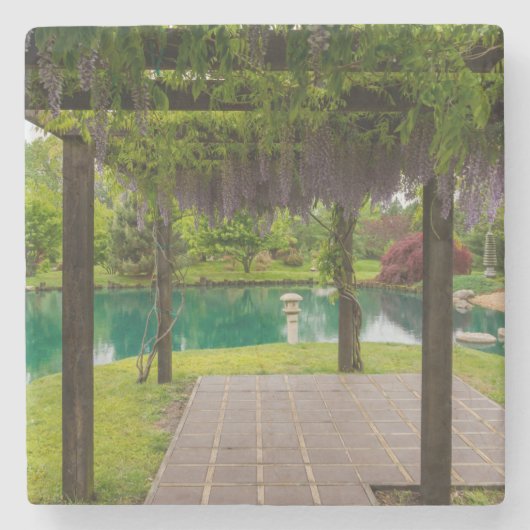 Pergola of Wisteria Steinuntersetzer (Vorderseite)