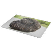 Perigord Truffle Glass Chopping Board Schneidebrett (Ecke)