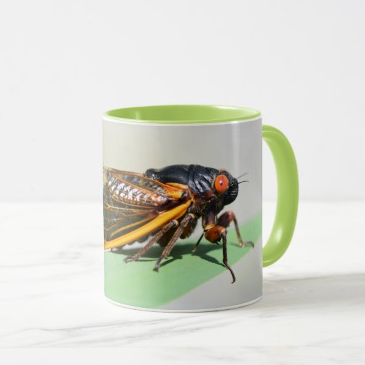 Periodische Cicada Tasse - Kaffee mit Brood X geni (VorderseiteRechts)