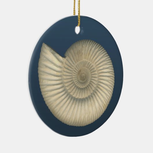 Perisphinctes Ammonit Keramikornament (Rechts)