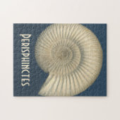 Perisphinctes Ammonit Puzzle (Horizontal)