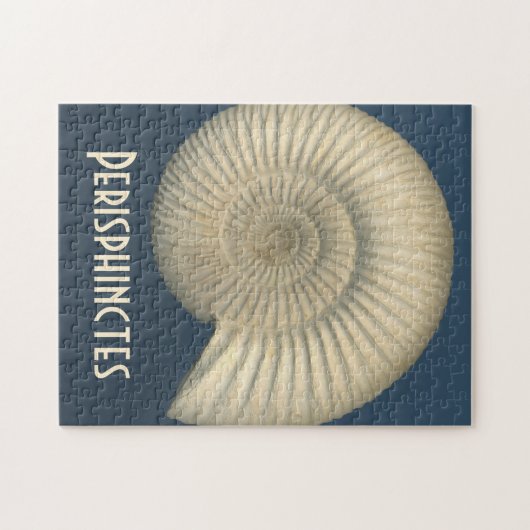 Perisphinctes Ammonit Puzzle (Horizontal)
