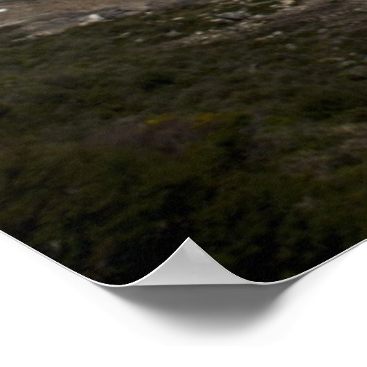 Perito Moreno Glacier Nationalpark Poster (Ecke)