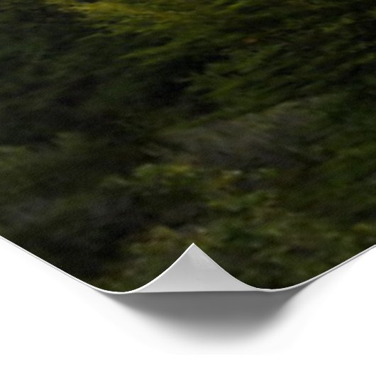 Perito Moreno Glacier Panorama Poster (Ecke)