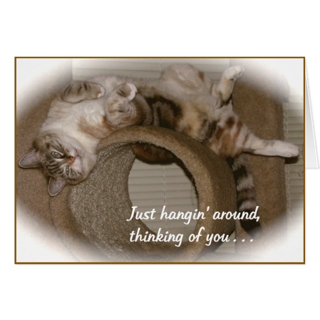 Periwinkle (Vorderseite (Horizontal))