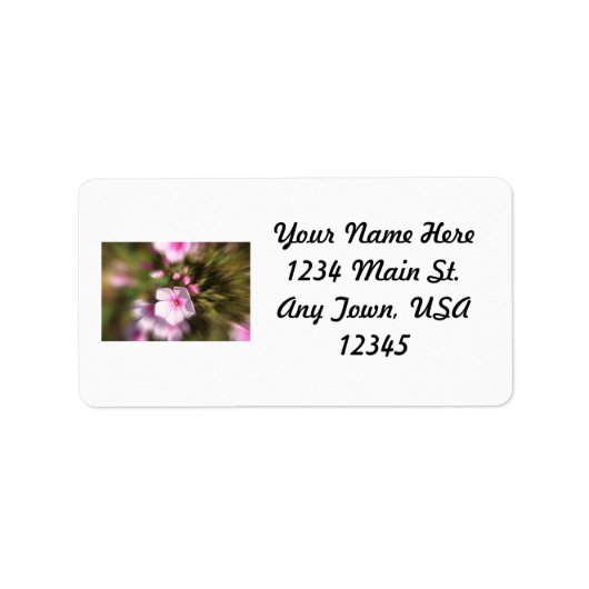 Periwinkle Adressaufkleber (Vorne)