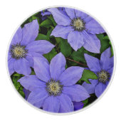 PERIWINKLE BLUE CLEMATIS KERAMIKKNAUF (Vorderseite)