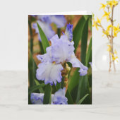 Periwinkle Blue Iris Blume Karte (Gelbe Blume)