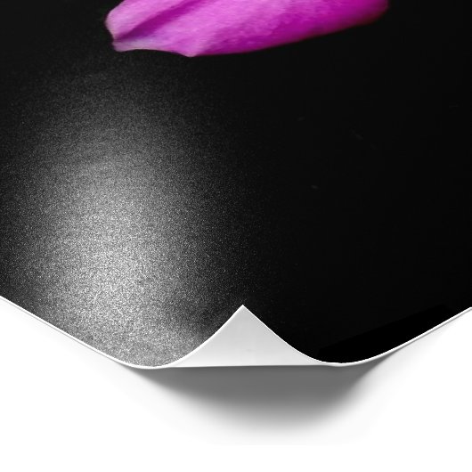 'Periwinkle Blume nach Regen' Fotodruck (Ecke)