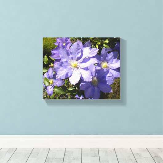 Periwinkle Clematis Leinwanddruck (Insitu (Holzboden))