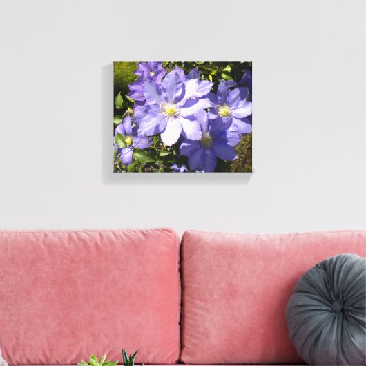 Periwinkle Clematis Leinwanddruck (Insitu (Wohnzimmer))