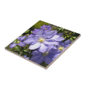 Periwinkle Clematis Tile Fliese (Seite)