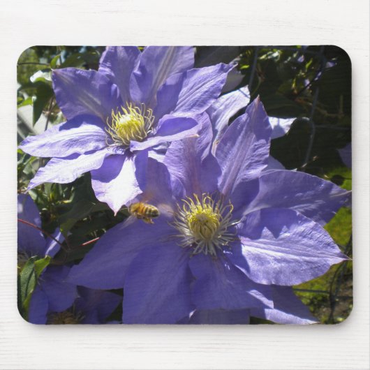 Periwinkle Clematis und Bienenmousepad Mousepad (Vorne)