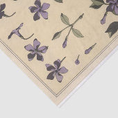 Periwinkle, die Botany-Serie von Eugene Grasset Seidenpapier (Ausschnitt)