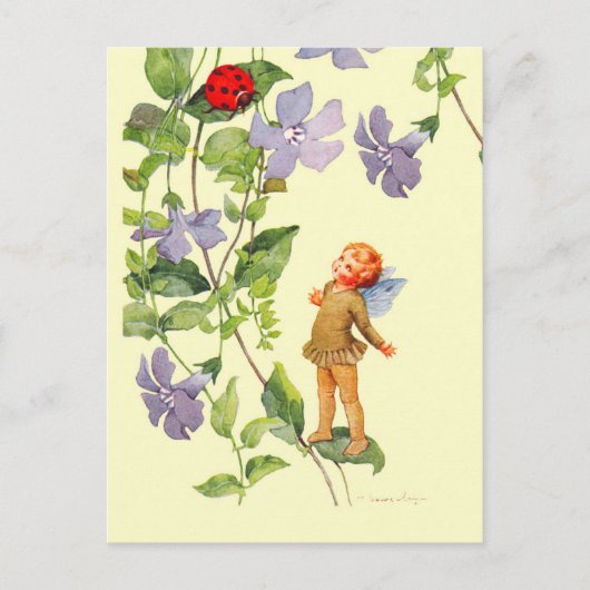 Periwinkle Elf und Ladybug Postkarte (Vorderseite)