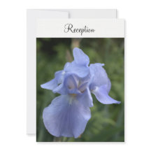Periwinkle Iris Floral Wedding Reception