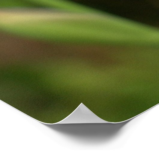 Periwinkle Iris mit Raindrops Garden Poster (Ecke)