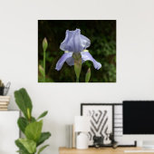 Periwinkle Iris mit Raindrops Garden Poster (Heimbüro)