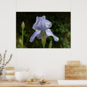 Periwinkle Iris mit Raindrops Garden Poster (Küche)