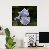 Periwinkle Iris mit Raindrops Poster (Heimbüro)
