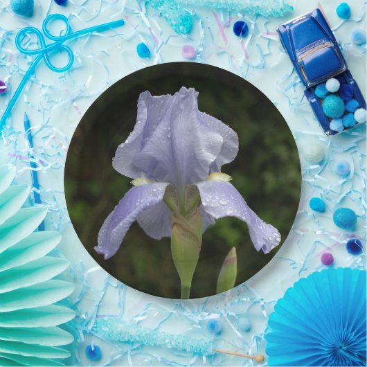 Periwinkle Iris Petals Raindrops Pappteller (Party)