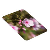 Periwinkle Magnet (Rechte Seite)