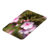 Periwinkle Magnet (Linke Seite)