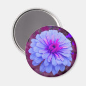 Periwinkle n Pink Zinnia Magnet (Vorderseite/Rückseite)