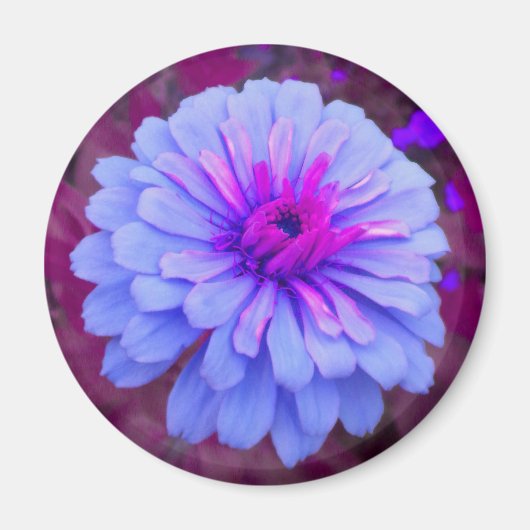 Periwinkle n Pink Zinnia Magnet (Vorne)