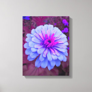 Periwinkle N Pink Zinnia Wrapped Canvas Leinwanddruck