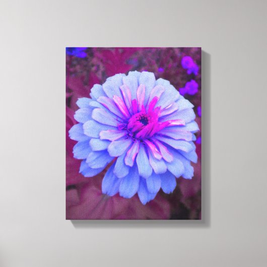 Periwinkle N Pink Zinnia Wrapped Canvas Leinwanddruck (Vorderseite)
