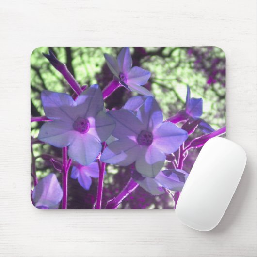Periwinkle Nicotiana mousepad (Mit Mouse)
